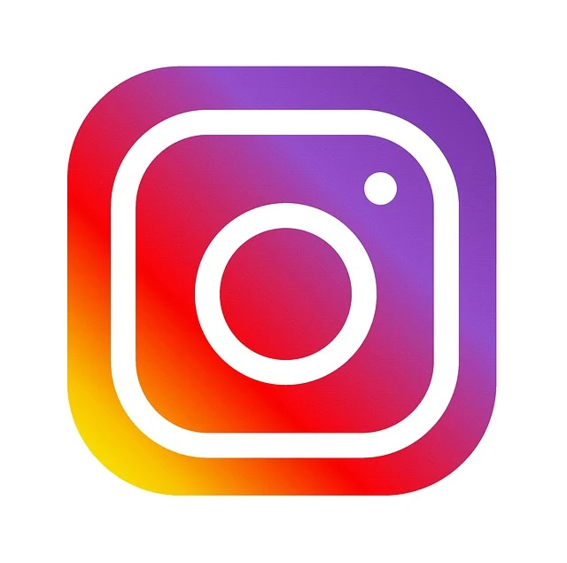 Followers Instagram Gratis